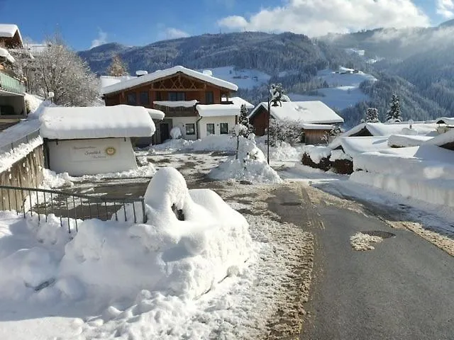 Daire Tauernlodge Sonnblick 3 Mühlbach am Hochkönig
